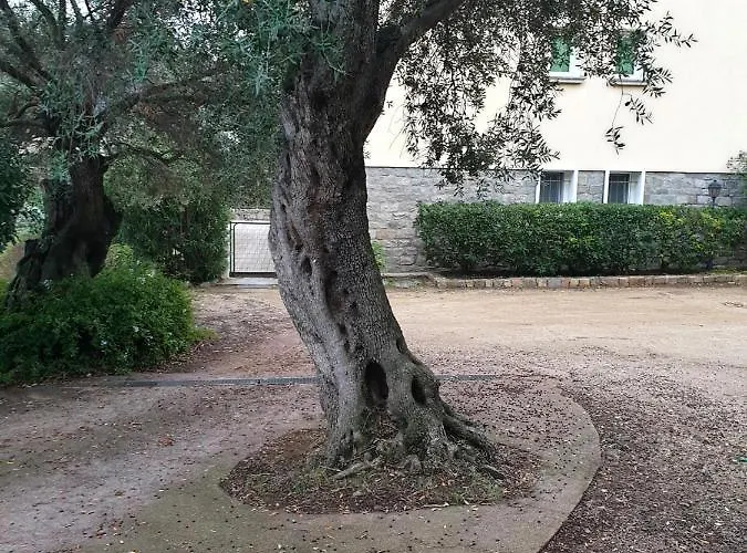 Athena * LʼÎle-Rousse